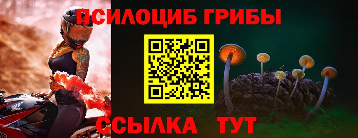 Псилоцибиновые грибы Psilocybine cubensis Волгодонск